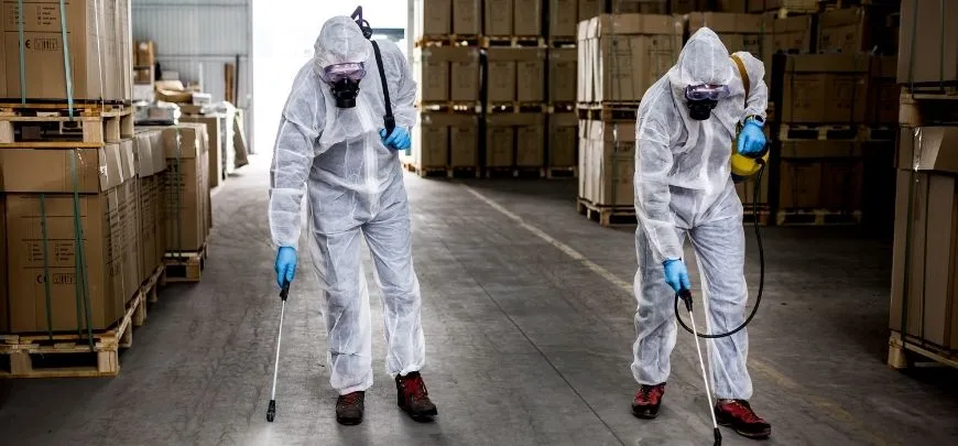 Professional Pest Control Service