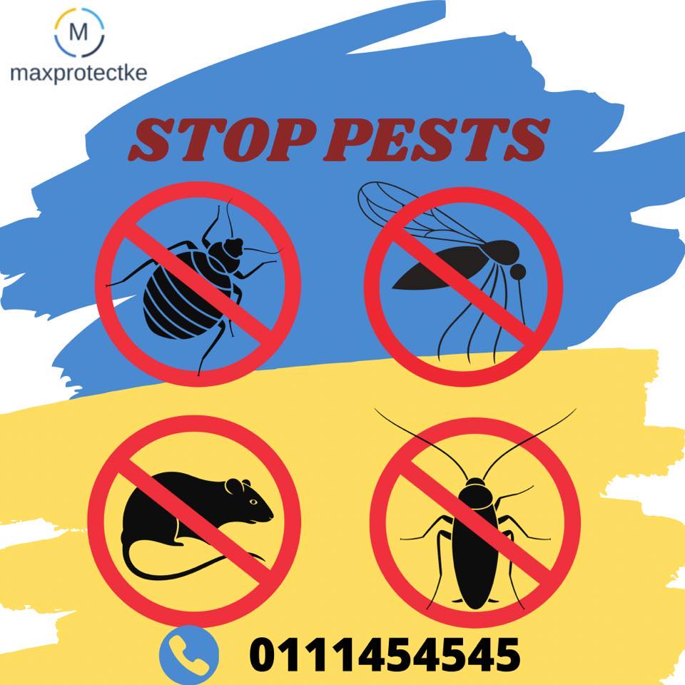 Maxprotectke Pest Control Services
