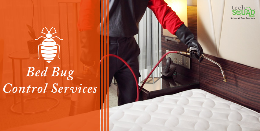Professional Bedbug Treatment Service | Verified Fumigation Experts
