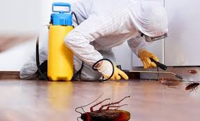 Cockroach Control Service by Verified Fumigation Experts - Image 2