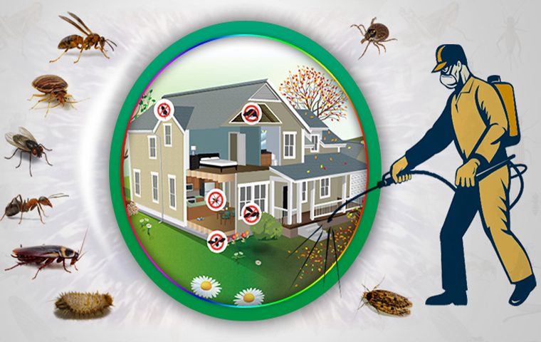 Cockroach Control Service by Verified Fumigation Experts - Image 5