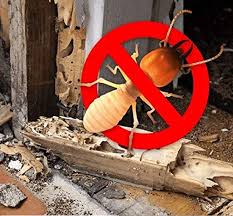 Termite Control Service - Image 2
