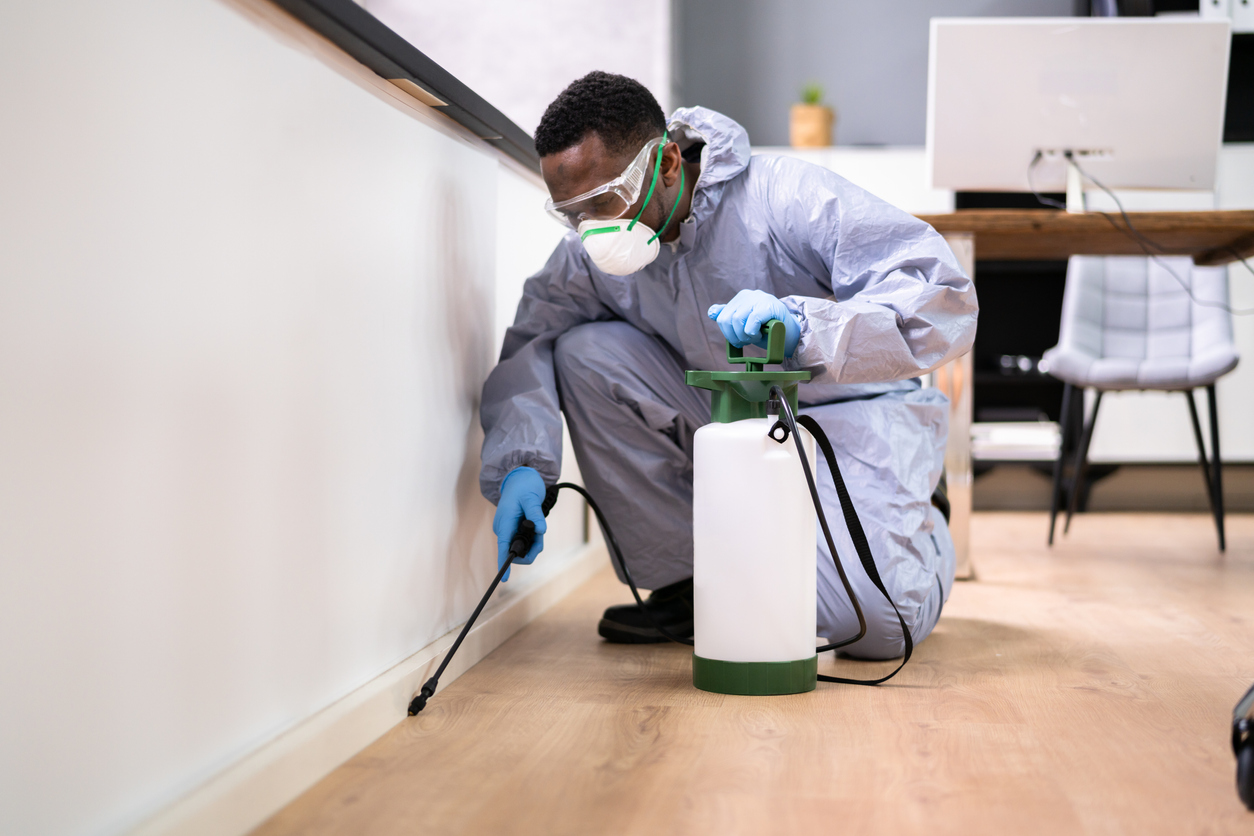Professional Fumigation Service - Image 2