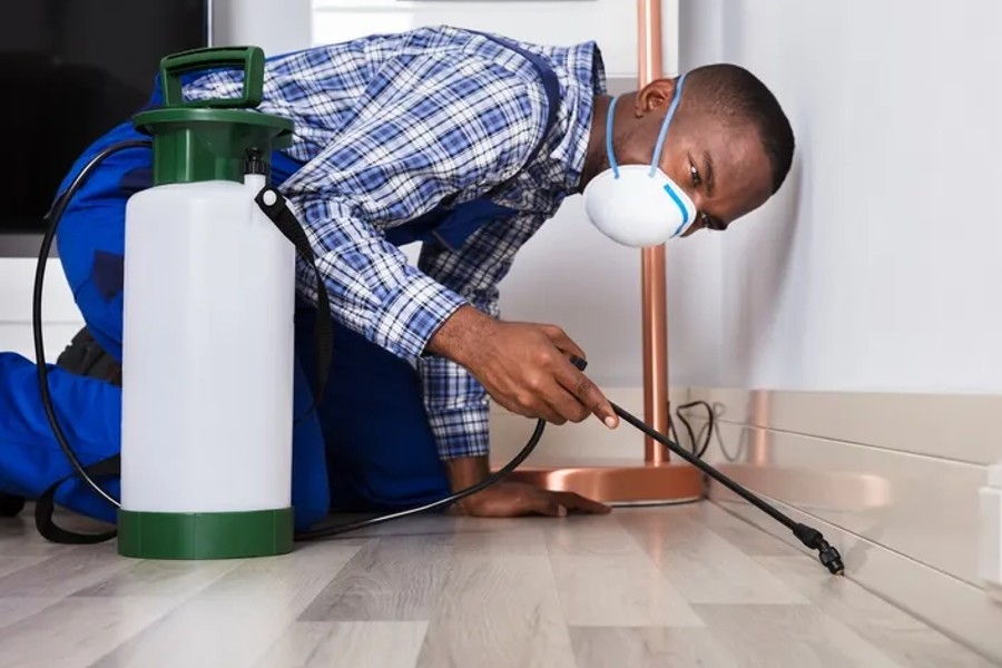 Professional Pest Control Service - Image 6